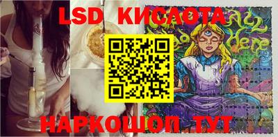 сатива Краснодар