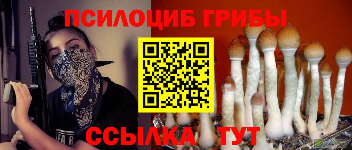 Карпинск  Галлюциногенные грибы Psilocybe  Вход с VPN  Галлюциногенные грибы GOLDEN TEACHER 