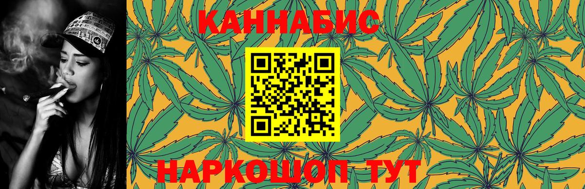 Канабис сатива Карпинск